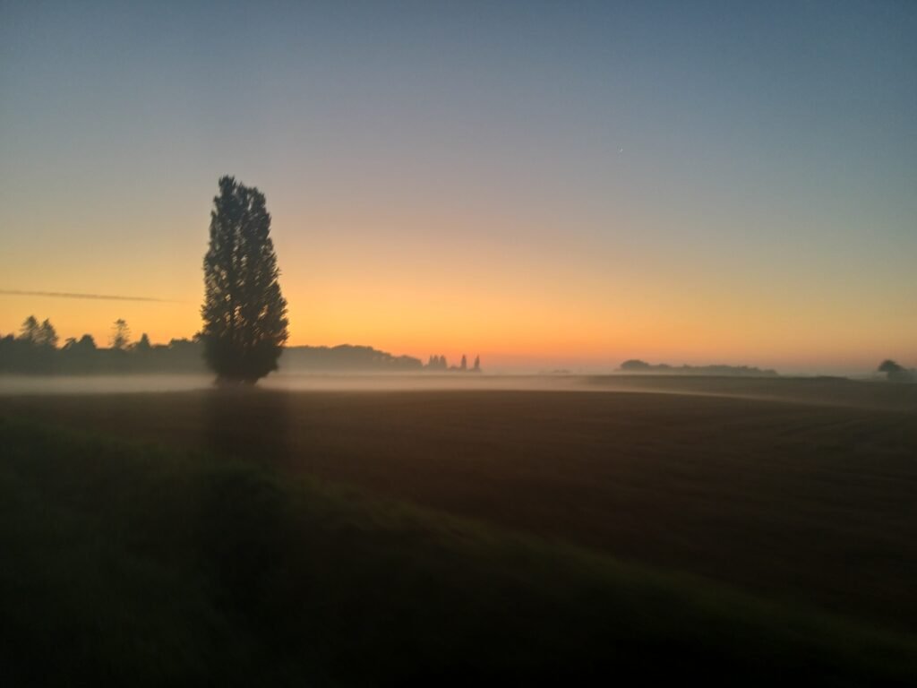 Billede af solopgang en tidlig morgen i Tårup, Markerne og horisonten er disede.