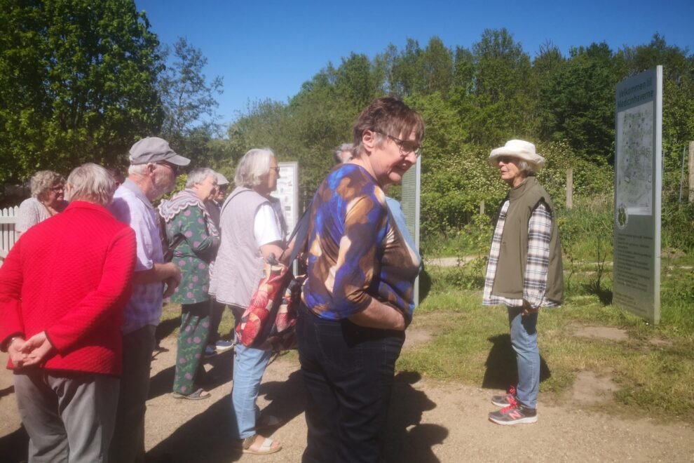 Seniorklubben i Medicinhaverne