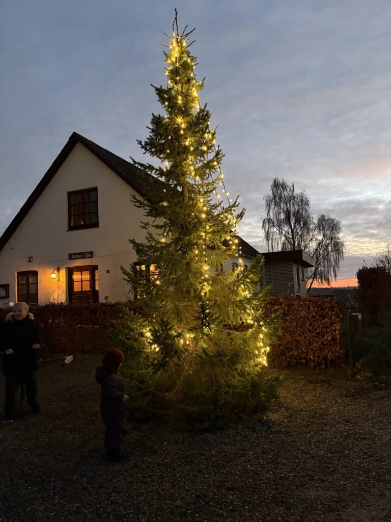 Dec 2024 Juletræet efter tænding