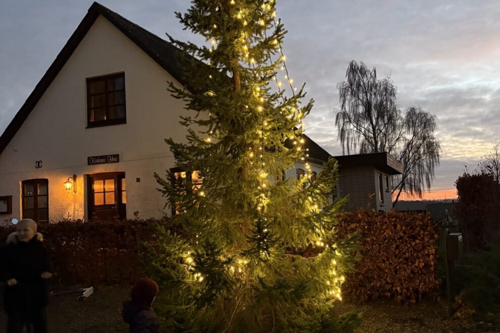Dec 2024 Juletræet efter tænding