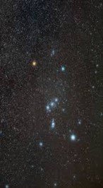 Stjernebillede af Orion