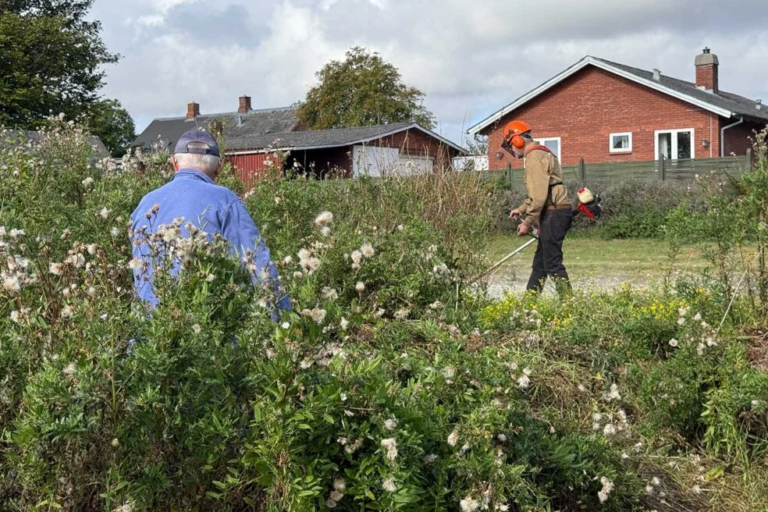 Fælles arbejdsdag på det grønne område Under Egen.
